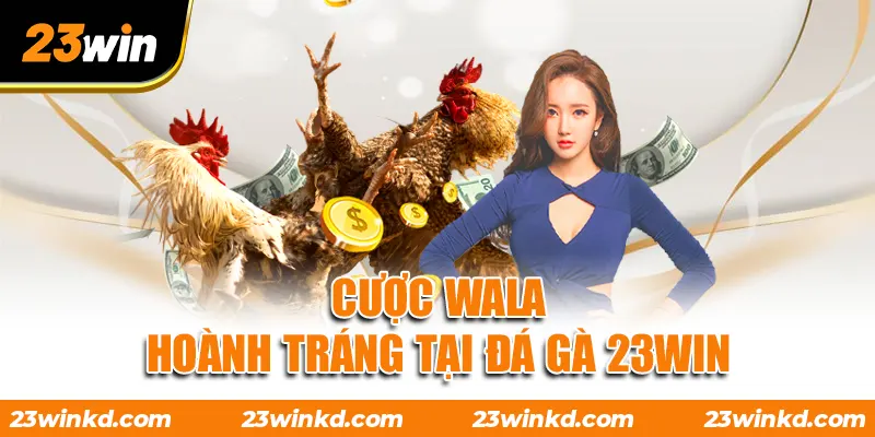Cược Wala hoành tráng tại đá gà 23WIN