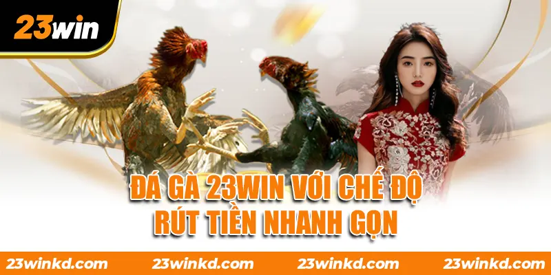 Đá gà 23WIN với chế độ rút tiền nhanh gọn